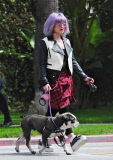 Kelly Osbourne 'Picks Up' After Her Bulldog Willy While Out for a Walk
