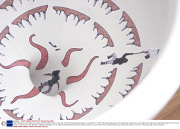 Toilet Sarlacc turns you toilet into a scene from Star Wars: Return of the Jedi - Mar 2014