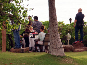 Britney Spears Enjoys A Last Hawaiian Dinner With David & Her Boys 