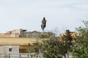 Spain: Hundreds of migrants try to enter Spanish enclave