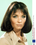 GTV ARCHIVE