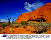 A luxury launches website and tour operator are launching a full-length version of The 'Royal' Australian Tour - 01 Apr 2014