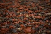 Ai Weiwei Ausstellung Evidence in Berlin