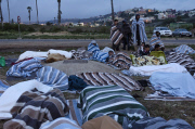 Spain: Immigration Crisis