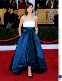 19th Annual Screen Actors Guild Awards, Arrivals, Shrine Auditorium, Los Angeles, America - 27 Jan 2013