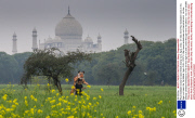 Paul Goldstein trains for epic British charity runs, Agra, India - 01 Mar 2014