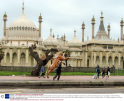 'Tiger Man' Paul Goldstein marathon challenge week, Britain - 06 Apr 2014