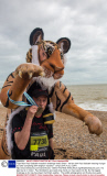 'Tiger Man' Paul Goldstein marathon challenge week, Britain - 06 Apr 2014