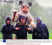 'Tiger Man' Paul Goldstein marathon challenge week, Britain - 06 Apr 2014