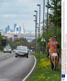 'Tiger Man' Paul Goldstein marathon challenge week, Britain - 06 Apr 2014