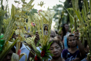 Philippines: Palm Sunday 2014 - Philippines