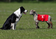 NOW TV - Lambs Easter Football Predictions - Britain - 16 Apr 2014