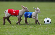 NOW TV - Lambs Easter Football Predictions - Britain - 16 Apr 2014