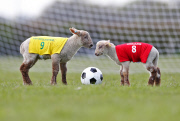 NOW TV - Lambs Easter Football Predictions - Britain - 16 Apr 2014
