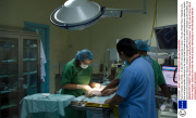 Falcon hospital, Abu Dhabi - 16 Apr 2014