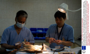 Falcon hospital, Abu Dhabi - 16 Apr 2014
