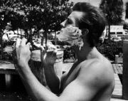 Spring Break across the decades