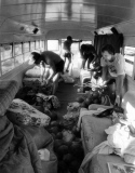 Spring Break across the decades