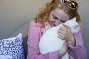 cat lover snuggle cats