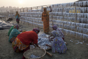 Bangladesh: Fishing village in Bangladesh