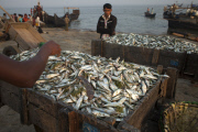 Bangladesh: Fishing village in Bangladesh
