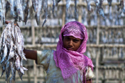 Bangladesh: Fishing village in Bangladesh
