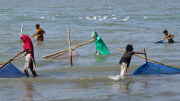 Bangladesh: Fishing village in Bangladesh