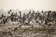 Bangladesh: Fishing village in Bangladesh