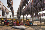 Bangladesh: Fishing village in Bangladesh