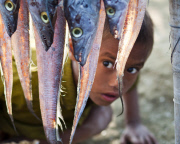 Bangladesh: Fishing village in Bangladesh
