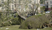Tornado devastates Tupelo