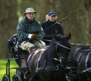 Royal Windsor Horse Show 2014