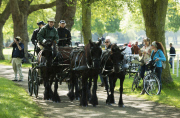 Royal Windsor Horse Show 2014