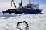 Antarctic Ship Passengers Rescued