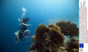 Sue Austin will perform swimming pool acrobatics in the world's first underwater wheelchair, London, Britain - 30 Aug 2012