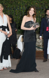 amfAR 2014