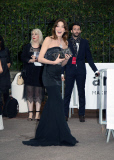 amfAR 2014