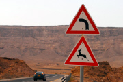 Israel - 2000s
