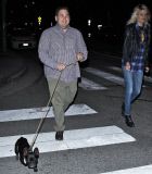 *EXCLUSIVE* Jonah Hill takes his French Bulldog for a walk