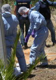 Search for Madeleine McCann