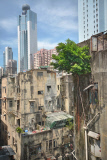 Captivating photos show trees growing in the middle of busy Hong Kong, Hong Kong, June 2014