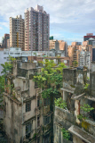 Captivating photos show trees growing in the middle of busy Hong Kong, Hong Kong, June 2014