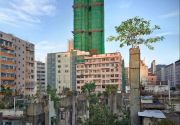 Captivating photos show trees growing in the middle of busy Hong Kong, Hong Kong, June 2014