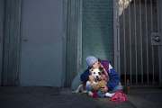 Touching photos capture the bond between homeless people and their loyal pets, America, June 2014