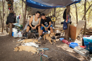Touching photos capture the bond between homeless people and their loyal pets, America, June 2014