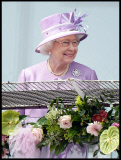 2014 Derby