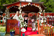 Hundehochzeit