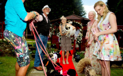 Hundehochzeit