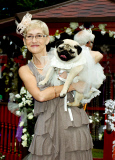 Hundehochzeit