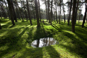 The battlefield sites of WW1 in Flanders, the Somme, Verdun and the Argonne where thousands of men paid the ultimate price. Many were never found and still lie beneath the earth. 2014 is the centenary of the start of World War One, the Great War, the War 